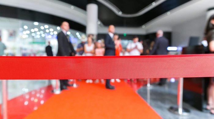 organizasyon güvenliği